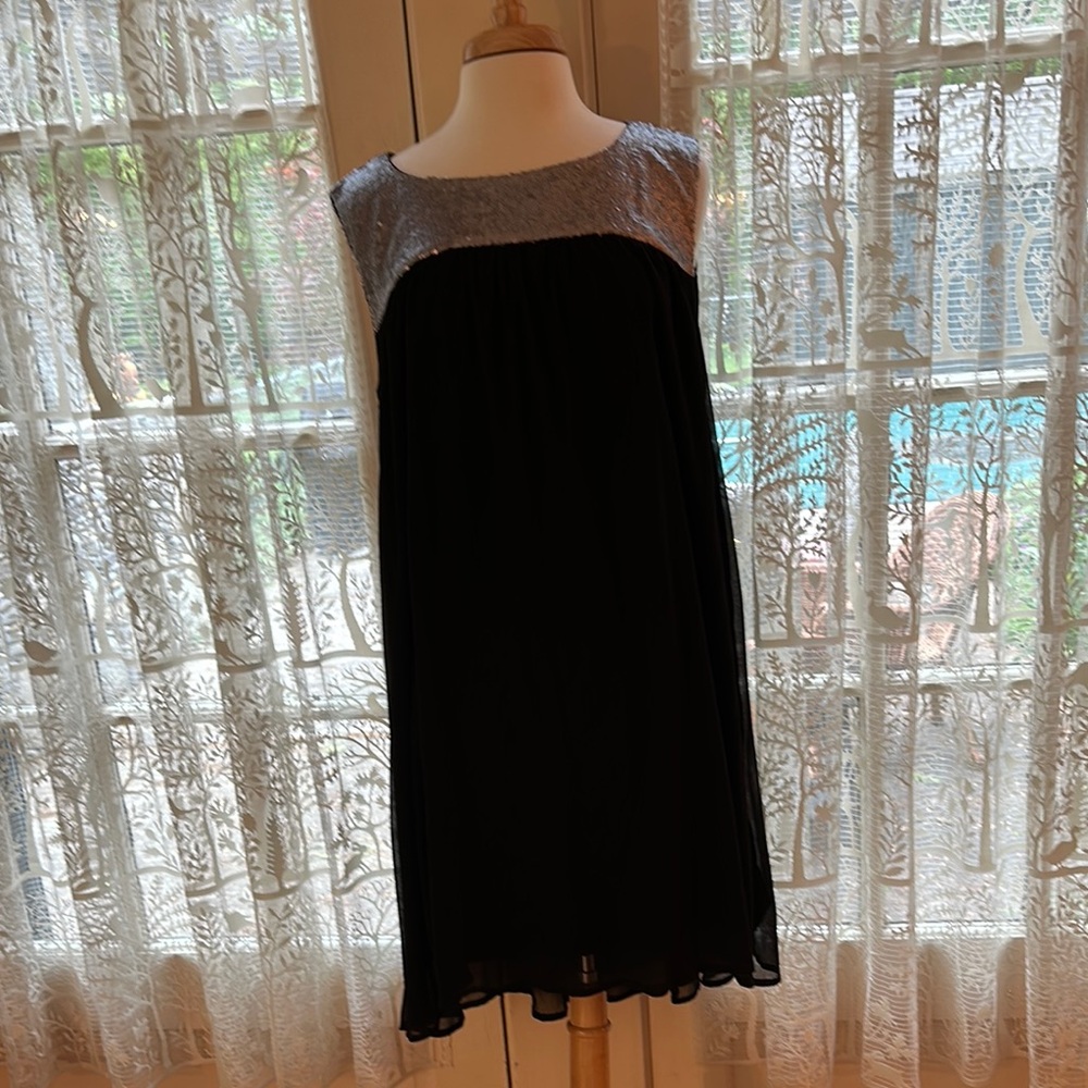 Elegant Black and Silver Sequined Dress